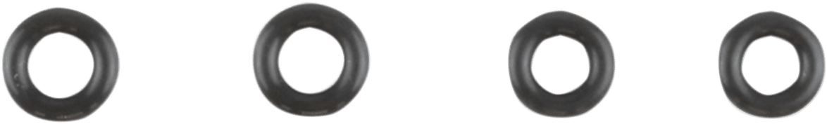 Induction Module O-Ring