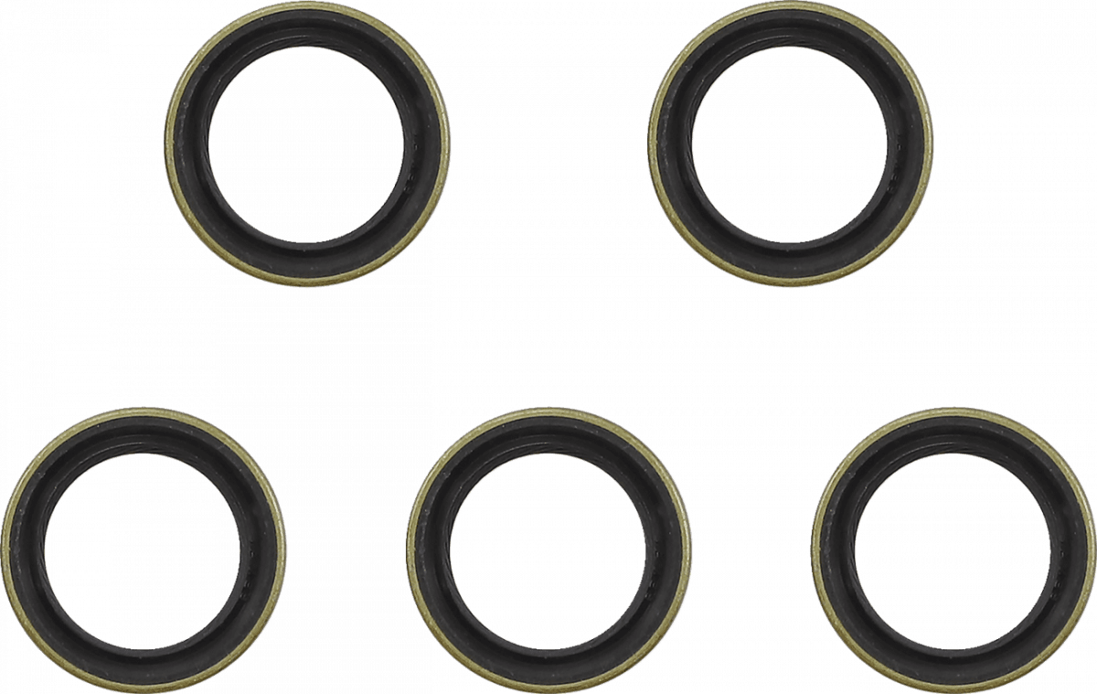 Main Drive Gear Seal Kit