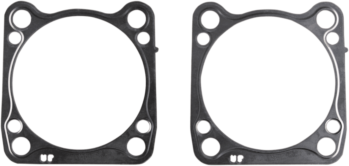 Cylinder Base Gasket