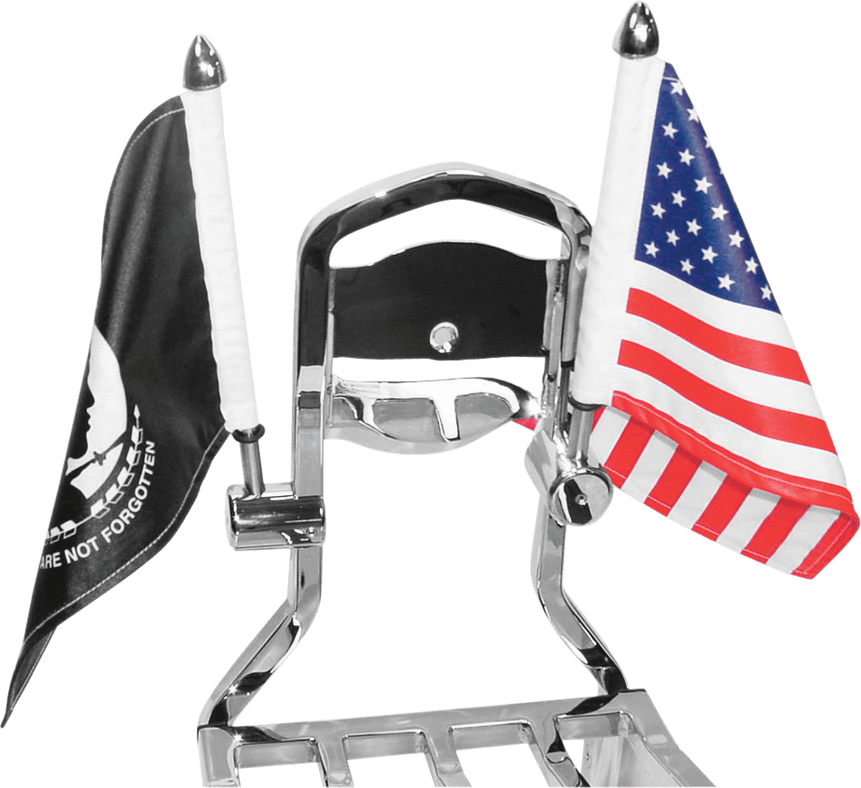Side Mount Sissy Bar Flag Mounts with Flag