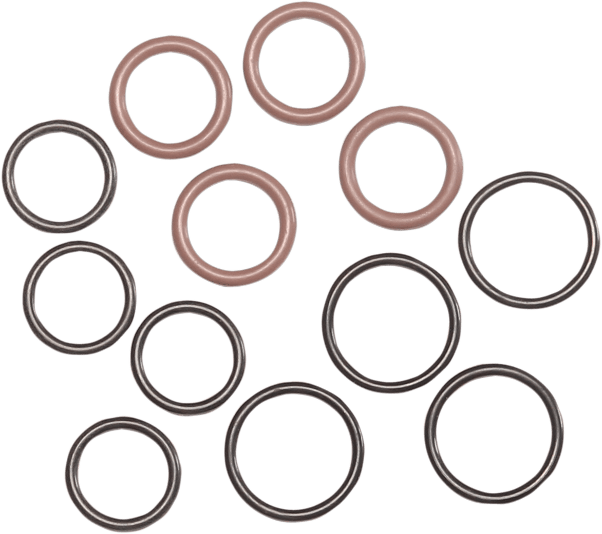 Pushrod O-Ring and Seal Kit