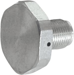 Upper Fork Tube Caps/Bolts — Standard