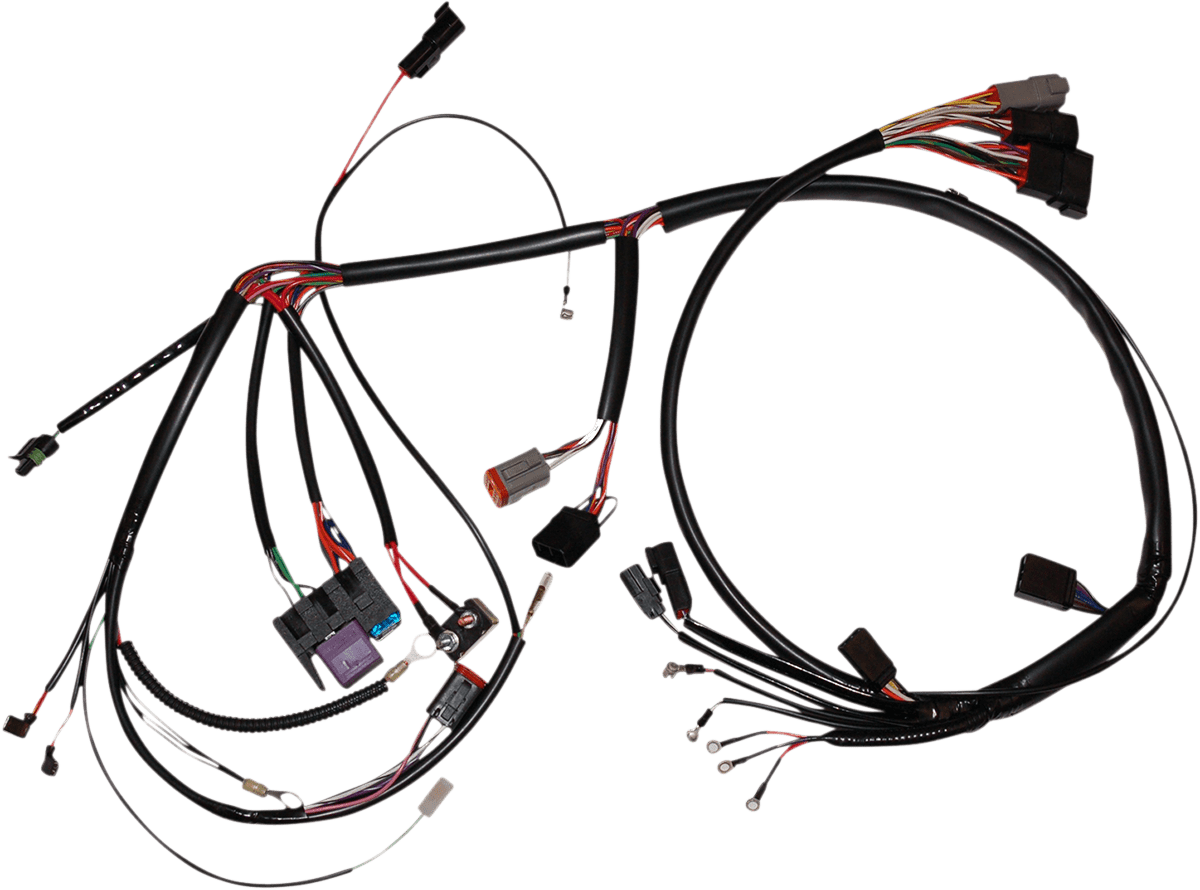 Complete Bike Wiring Harness