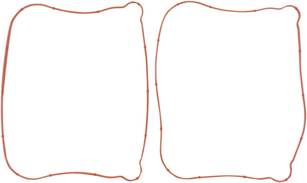 Rocker Gasket