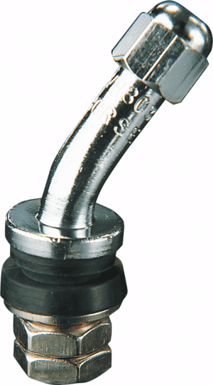Angled Valve Stem