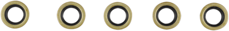 Starter Shaft Seal