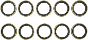 Engine Crankcase Seal