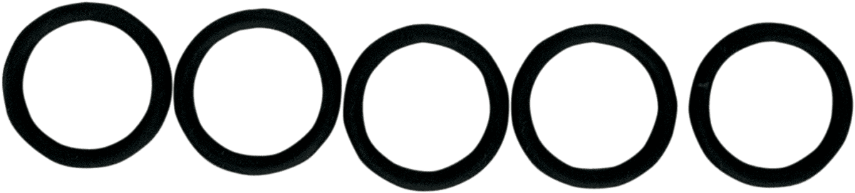 Replacement O-Ring for Fuel Check Valve