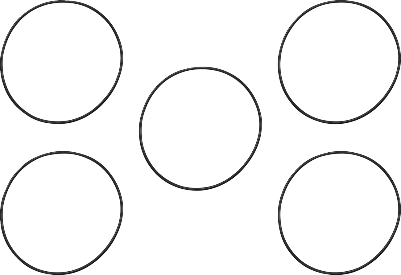 Derby/Inspection Cover Seal Kit