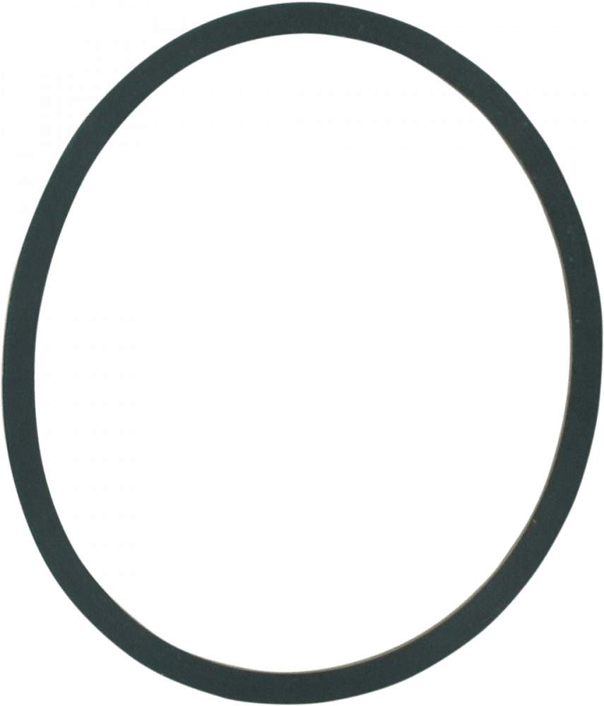 Replacement FLO Oil Filter Seal Ring