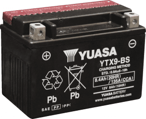 AGM Maintenance-Free Battery