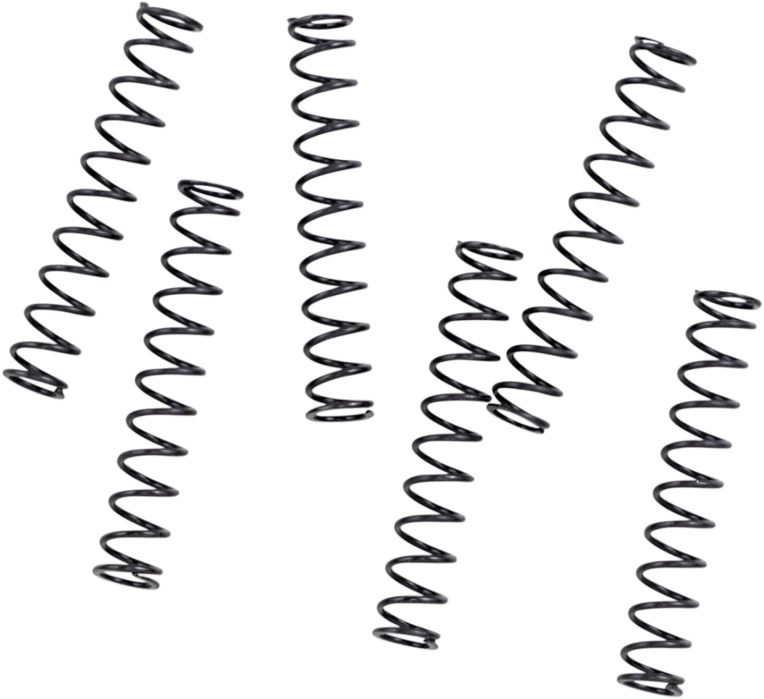Pressure Relief Valve, Springs and Plunger
