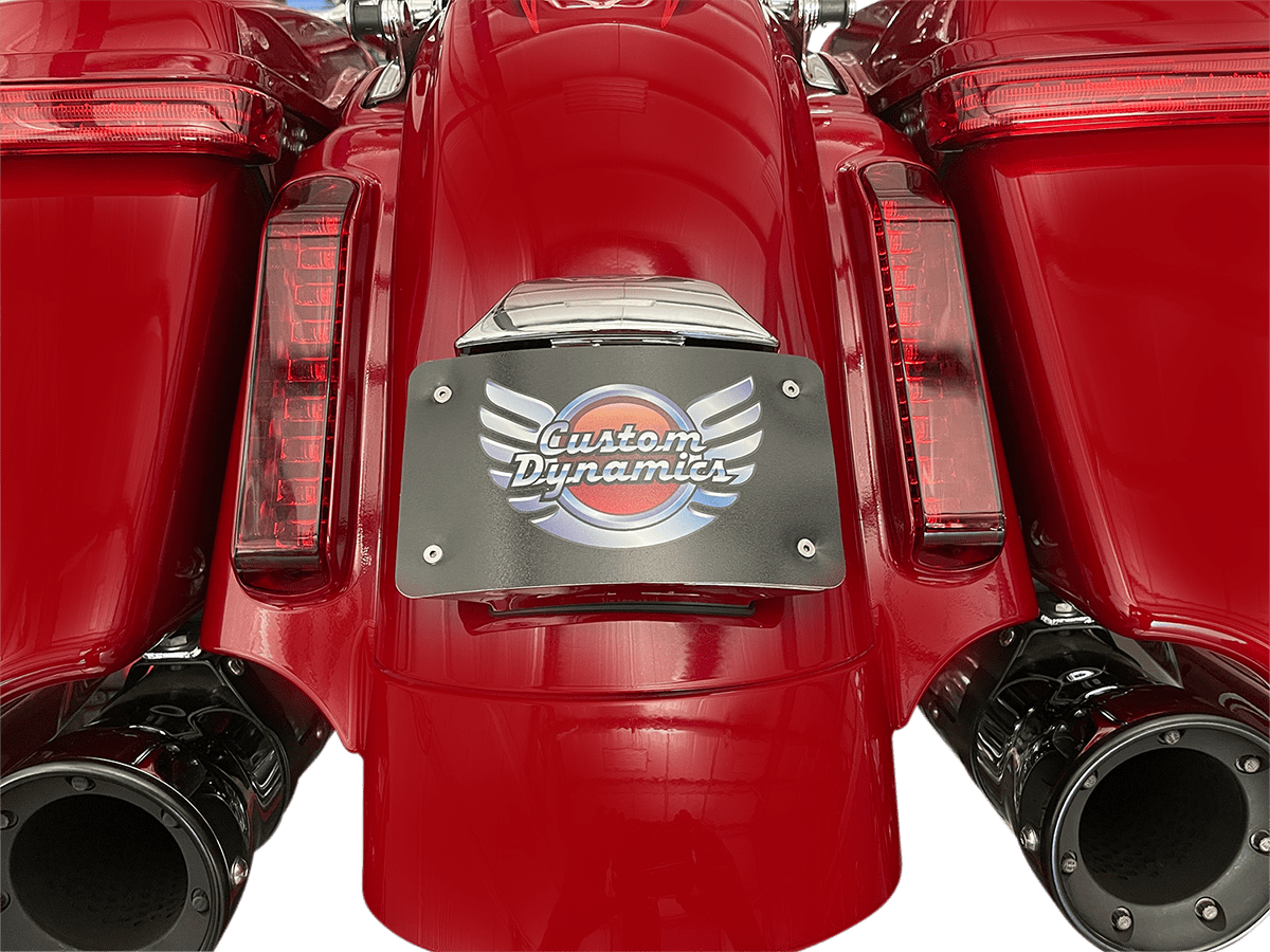 Radius License Plate Mount Assembly for CVO™