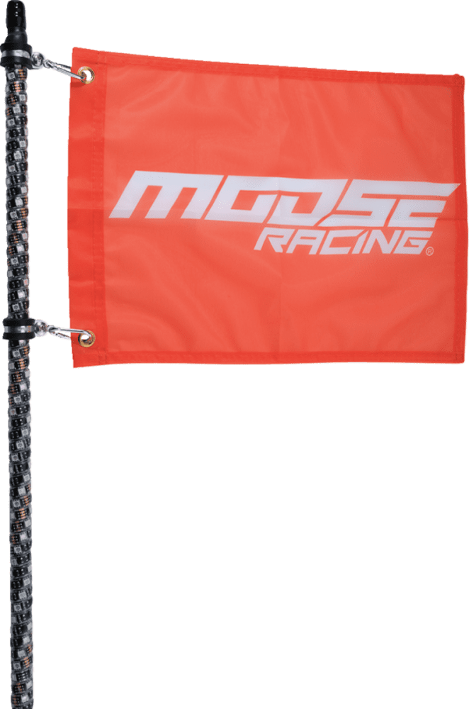 Bluetooth Whip Light